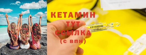 индика Дегтярск