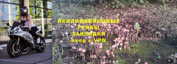 ALPHA PVP Приозерск